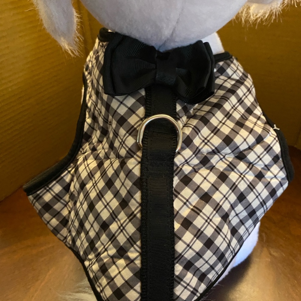 Head Black Dog Harness